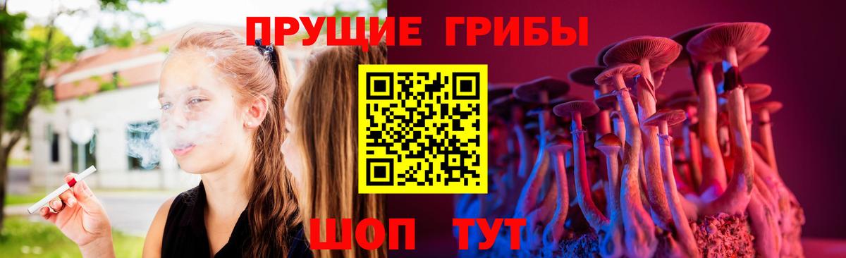 Псилоцибиновые грибы прущие грибы Аша